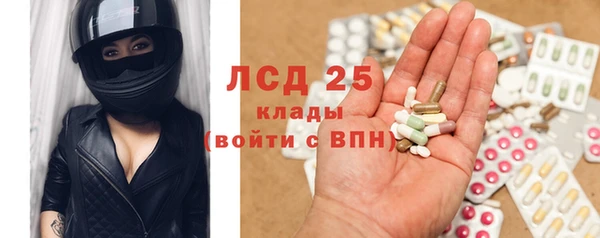прущие грибы Балахна