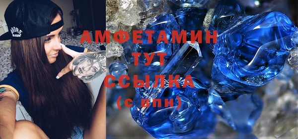 прущие грибы Балахна