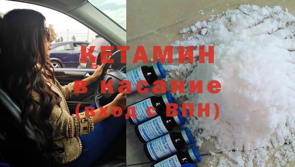 прущие грибы Балахна