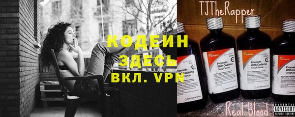 прущие грибы Балахна
