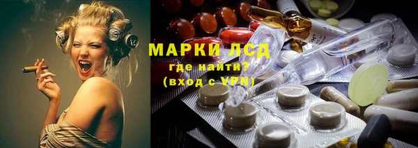 прущие грибы Балахна
